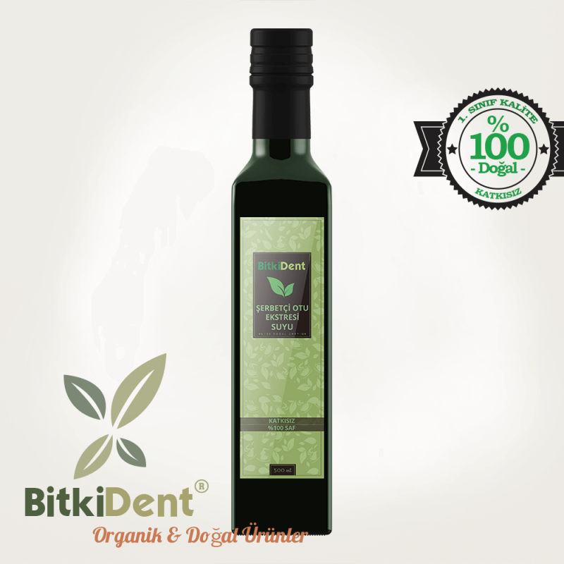 BitkiDent